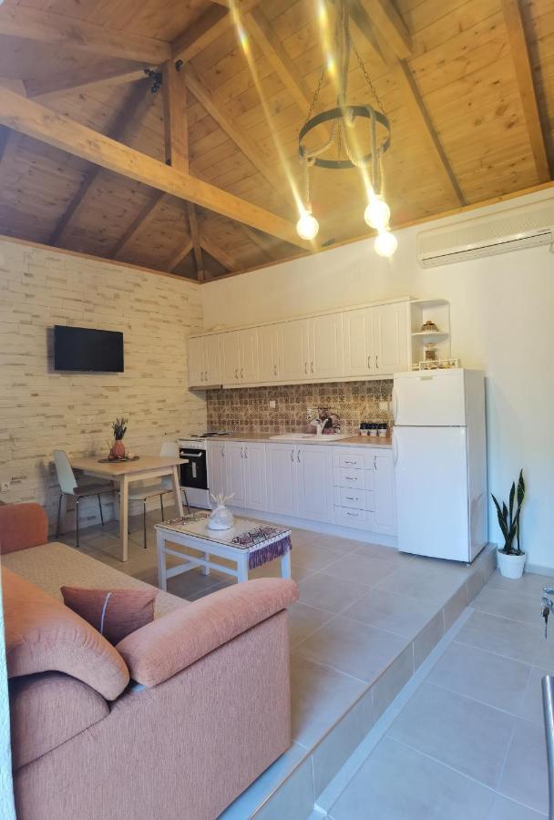 Elaion Thea-Nies Villa Sourpi Exterior photo